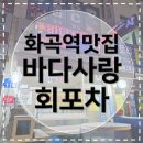[화곡역맛집] 바다사랑회포차 인생 물회 만날 수 있는 찐로컬맛집 대존맛 내돈내산 후기