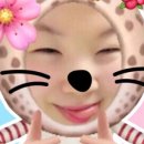 카페24창업센터 양재점