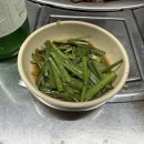 돼지갈매기 이미지