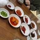 [영월 맛집] 강원도 영원 찐맛집, 다슬기 향촌 성호식당 다슬기 해장국