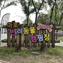 민화 속 반려동물 | 서울 한강 강아지랑 캠핑 캠크닉 | 2️⃣ 마포 반려동물 캠핑장 캠핑존, 피크닉존
