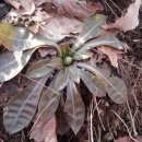 소양강둘레길 1코스 이미지