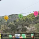 각원사길 | 겹벚꽃천안 각원사 겹벚꽃 실시간 후기｜주차·개화시기 총정리 (아이와 가볼만한곳)