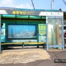 서호초등학교 병설유치원 이미지