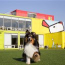 안동휴게소 부산방향 이미지