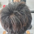 염색방장 이미지