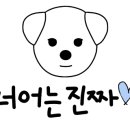 하하애견 이미지