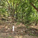 남부권 코스 | [세종여행] 세종 장군산 산행 후기 - 한국영상대 코스로 오르는 숨은 산길 여행