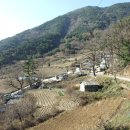 백2리 이미지