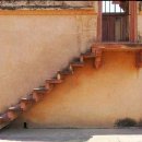 원예심리상담사 이미지