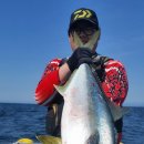 마린슈퍼 이미지