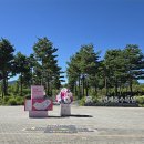 주식회사 가람 | 깜짝 놀랄 가성비! 세종 당일치기로 힐링하기~!