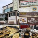 동명항 | 속초 애견동반 맛집 🐶 블루리본 받은 동명항생선구이 내돈내산 솔직후기🔥