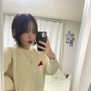 늦은 개강일기를 낋여왔도다