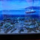 영덕어촌민속전시관 이미지