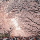 웅동주차장 이미지