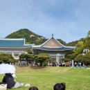 청와대만두 이미지