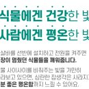 태양전파사 이미지
