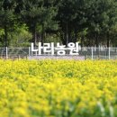 양주농원 이미지