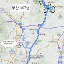 모전 부산은행(2) 이미지