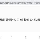 Re:문다혜 캐스퍼 이미 압류대상이었다던데 이미지