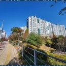 코뿔소공인중개사사무소 이미지