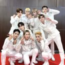 300개의 데뷔 소디악, 그리고 렉스~ ssi 💚✨ 이미지