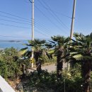 들꽃마을 펜션 이미지