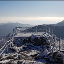 이동신협 앞 이미지