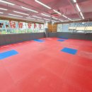 백인 합기도 이미지