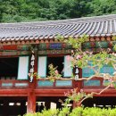 팔봉1교 다리 밑 | 설악산 속초 신흥사 처마 밑에는 용머리가 있다
