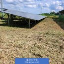 서산 태양광발전소 이미지