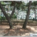 수현주유소 이미지