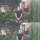 장미관 카카오 검색결과