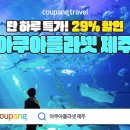 29 이미지