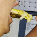 우리농산물달콤한과일나라 | 욱이네농산물 남해 미니밤호박 산지직송으로 즐기는 맛있는 건강 간식 요리 후기