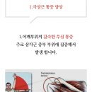 신통신경외과의원 이미지