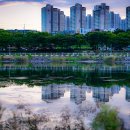 미사호수공원 이미지