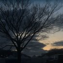 나 꽤나 강철체력일지도 ..?