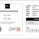 이파