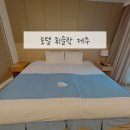 공항시장 | 제주공항 근처 숙소 동문시장 호텔 휘슬락제주 객실 내돈내산 후기