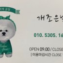 조은애견미용 이미지