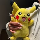 아이엠포레스트(I'm forest) | 몰타 일상 | 2월 몰타의 노잼 겨울.. 견뎌라 봄은 온다/ 젤리얼먹, 캐논 익서스, 30대 남자친구 생일...