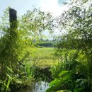 취다선리조트 이미지