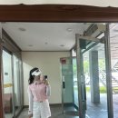 88컨트리클럽 연습장 | [골프장 후기] 잔디 좋은 파3 골프장 솔직 후기|88