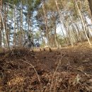 봄이네농장 이미지