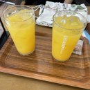 세라젬 웰카페 광명 철산점 이미지