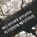 예감이 딱이였지(서울대치과) 이미지