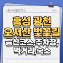 홍성 중담1공영주차장 | 홍성 관천 오서산 벚꽃길 등산코스 주차장 먹거리 숙소 총정리