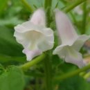 남구-089 네이버블로그